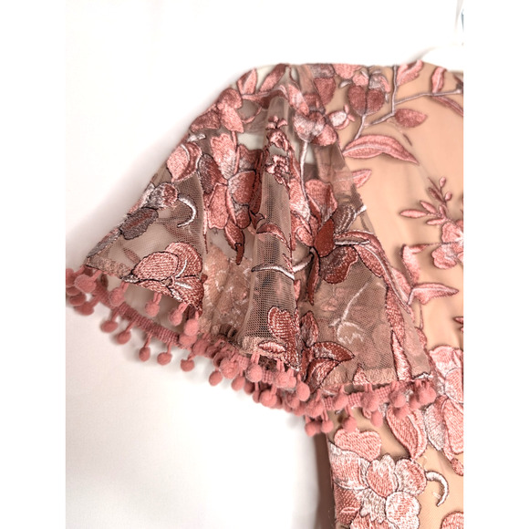 Two Sisters Pink Embroidered Floral Coquette Fairy Sheer Lace Ruffle Mini Dress - Picture 12 of 15